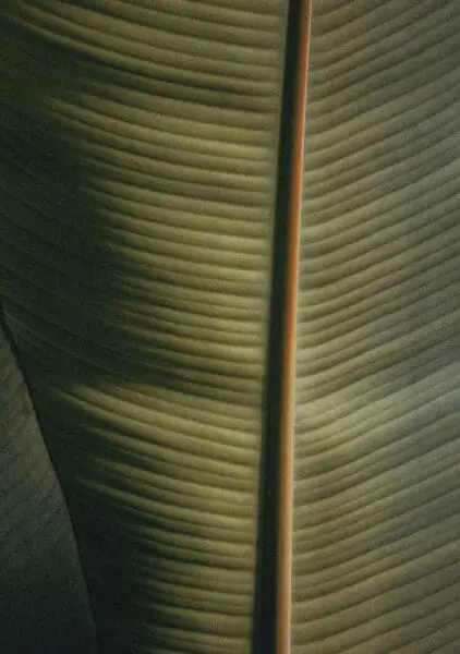 stevige massage amersfoort hilversum deep tissue